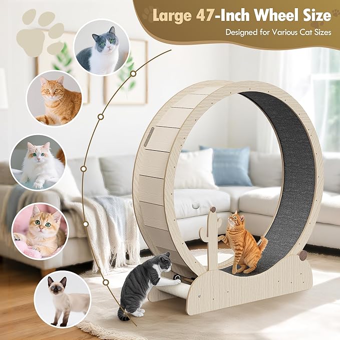 JungleA Large Cat Exercise Wheel 47 Inch - Spacious Cat Wheel with Detachable Teaser and Scratching Post for Indoor Cats, Featuring Safety Lock & Low Noise Design for Most Cats