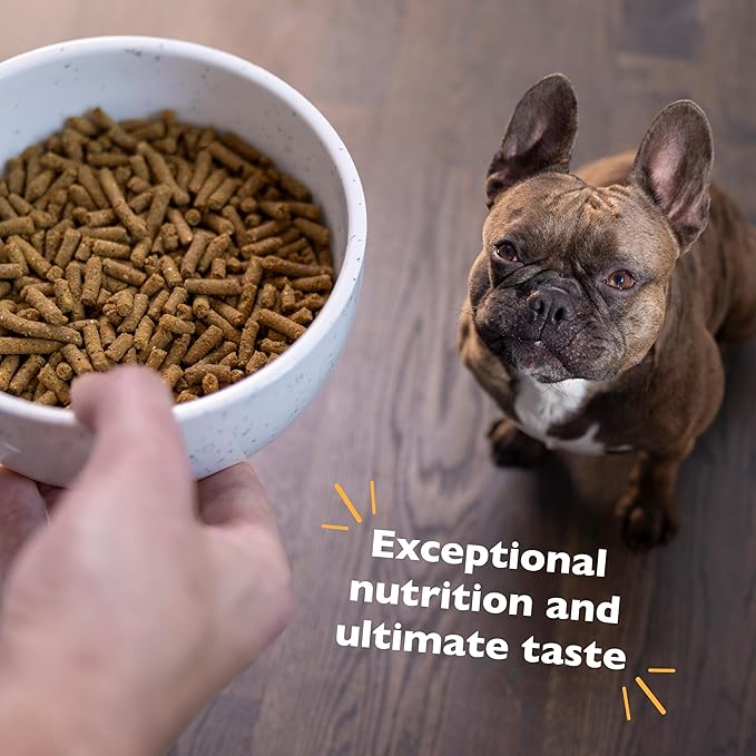 Bil-Jac Small Breed Adult Dry Dog Food | Chicken | Oatmeal & Yams Recipe | 6 lb (2-Pack)