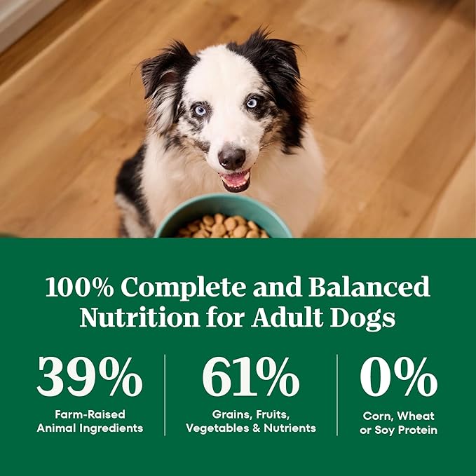 Nutro Natural Choice Dry Dog Food, Adult Dog Dry Food Lamb and Brown Rice Recipe, 36 lb. Bag