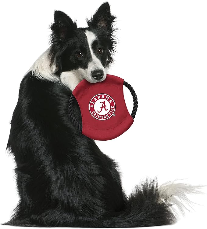 Littlearth NCAA Unisex NCAA Sock Monkey and Flying Disc Pet Toy Combo Set