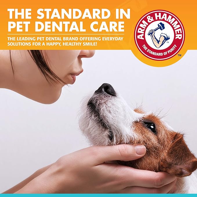 Arm & Hammer for Pets Fresh Breath Enzymatic Dog Toothpaste, Vanilla Ginger Flavor, Safe for Puppies and Adult Dogs, Daily Baking Soda Dental Gel to Eliminate Bad Breath, 2.5 Oz - 72 Pack