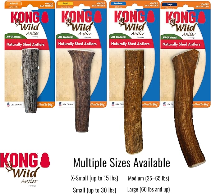 KONG Antlers for Dogs – 2 Pack of Naturally Shed Elk Antlers, 100% All-Natural & Sustainable Chews, Long-Lasting, Cleans Teeth, Freshens Breath (Medium)