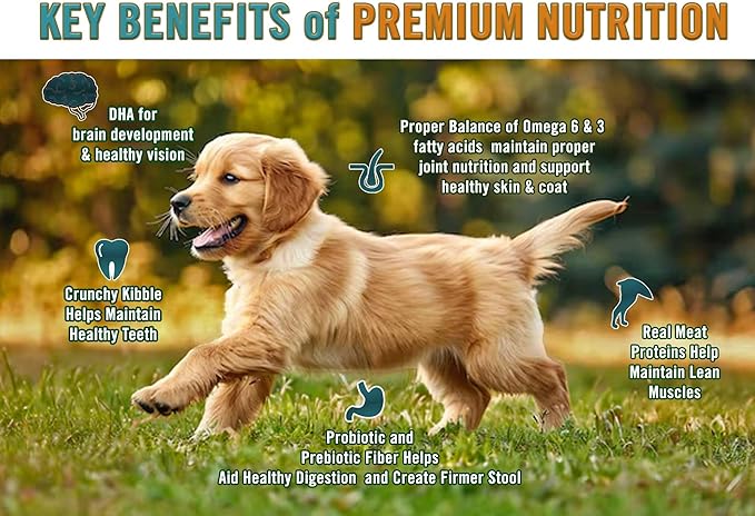 Chicken Soup for the Soul All Natural Premium Dry Puppy Food, Real Meat First Ingredient, No By-Products, Supports Brain Development & Strong Bones & Teeth, Chicken, Turkey & Brown Rice, 4.5lb