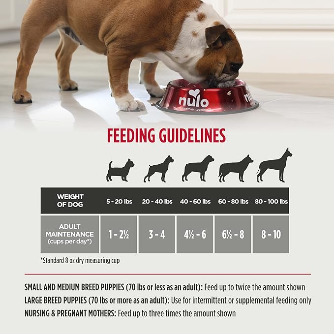 Nulo Freeze-Dried Raw Turkey & Salmon Recipe with Strawberries Complete and Balanced Dry Dog Food Kibble, 8 Ounce Bag
