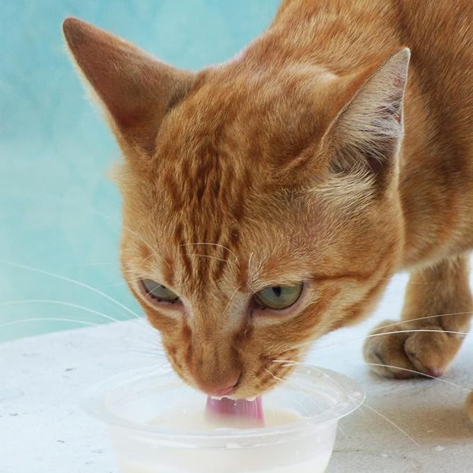 Needzo Cat Eggnog Drink Mix, Vanilla Flavored Powdered Treat, for Cats, 3 Ounces (Pack of 2)