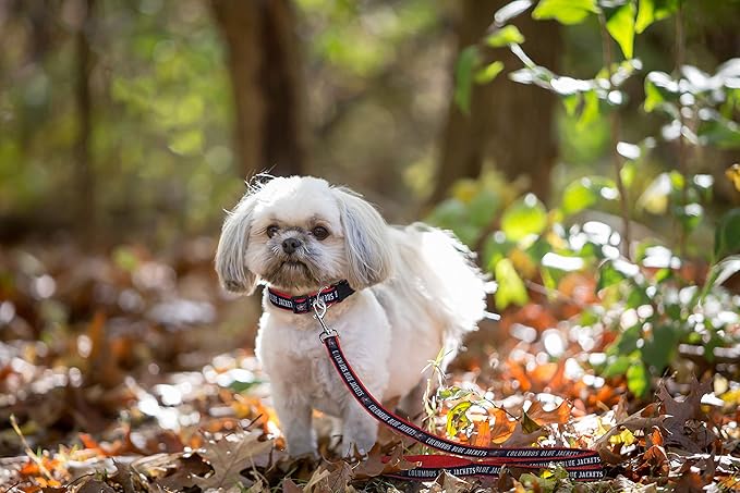 Pets First NHL Columbus Blue Jackets Leash for Dogs & Cats, Walk Cute & Stylish! The Ultimate Hockey Fan Leash!, Large (6 ft Long x 1 in Width) (CBJ-3031-LG)