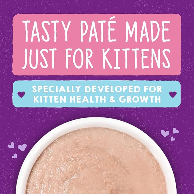 Stella & Chewy's Carnivore Cravings Purrfect Paté - Premium Grain-Free Wet Kitten Food - Chicken & Salmon Recipe - High Protein with Bone Broth - Perfect for Picky Kittens - 2.8oz Cans (12 Pack)