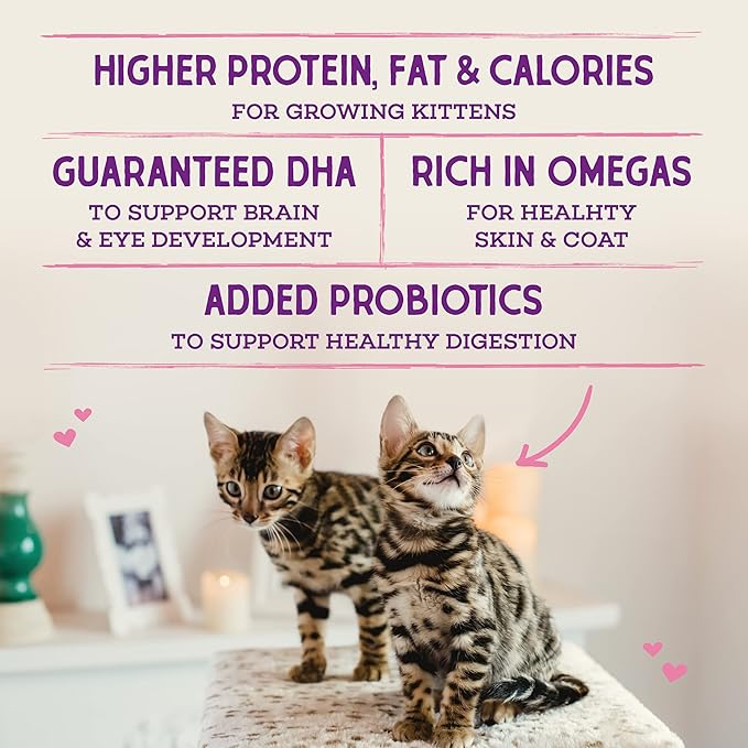 Stella & Chewy's Raw Coated Premium Kibble Cat & Kitten Food – Grain Free, Protein Rich Meals – Cage-Free Chicken for Kittens Recipe – 2.5 lb. Bag