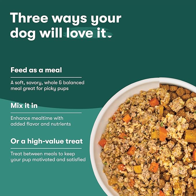 Jinx Premium Grain-Free Dry Dog Food, for All Lifestages - Grass-Fed Lamb, Sweet Potato & Carrot Dog Food with Superfoods for Immune Support & Probiotics for Digestive Support - No Fillers - 11.5lb