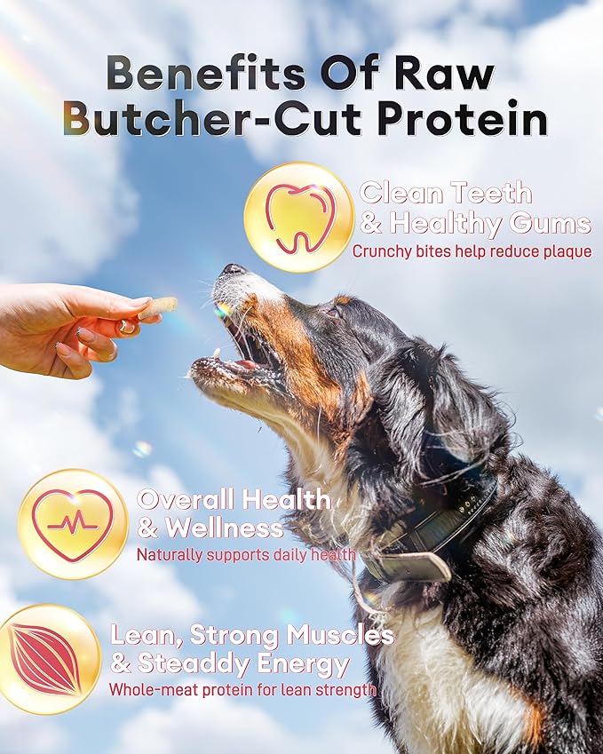 Freeze-Dried Raw Rabbit Treats & Food for Dogs & Cats - 97% Meat & Organs - Single Ingredient Rabbit Mini Nibs - Grain-Free Dog & Cat Food Topper, Mixer or Snack - 3.5 oz