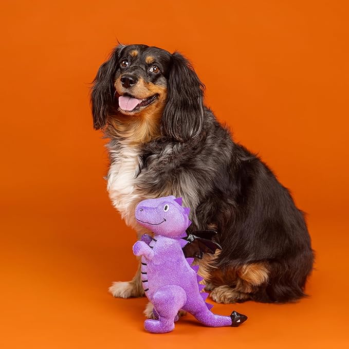 Fringe Studio Pet Toy, Don't BE A Drag-ON Plush Dog Toy, PetShop Collection (314626)