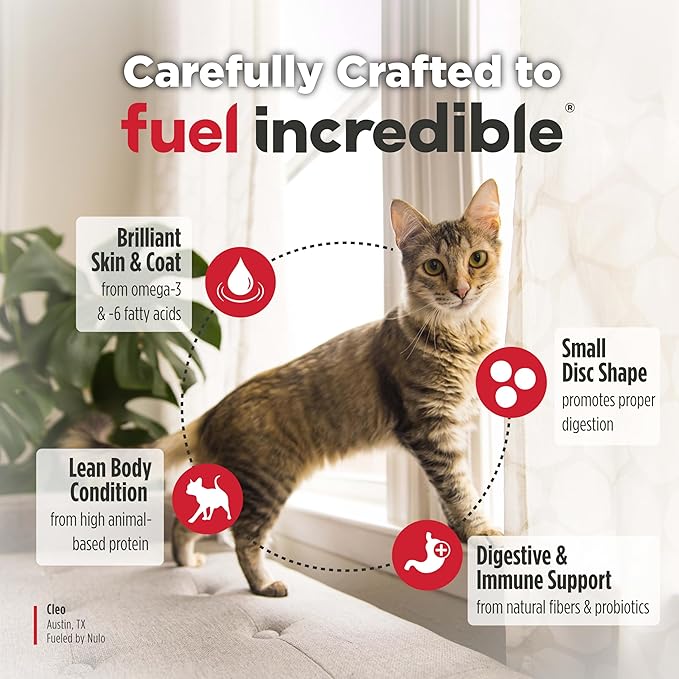 Nulo FreeStyle Senior Dry Cat Food - Alaska Pollock & Sweet Potato, High Protein, Natural Grain Free Cat Food with Probiotics and L-Carnitine, 4lb Bag