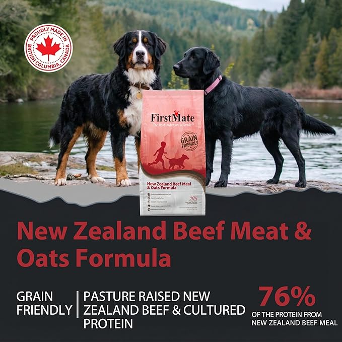 FirstMate Grain Friendly Dog Food New Zealand Beef & Oats Formula – Pasture-Raised Grass Fed Beef, Single Protein Dry Dog Food for Adult Dogs, Pea Free & Potato Free with Wholesome Grains – 25 lb Bag