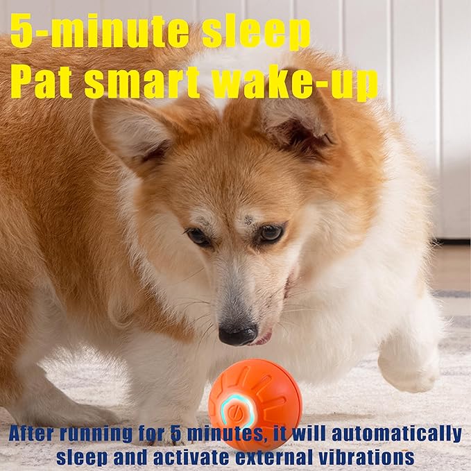BIONEMAGILI Interactive Self-Moving Pet Toy Ball - Motion-Activated Auto Rolling, Military-Grade Chew Resistant, USB-C Rechargeable for Small Dogs & Cats (Blue,/S/New1)
