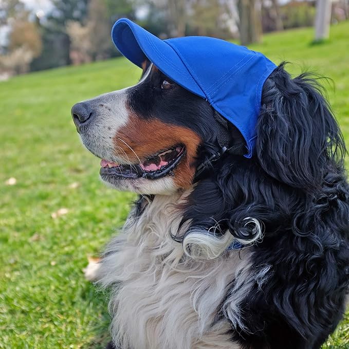 Littlearth NFL Los Angeles Chargers Pet Baseball Hat, Team Color, X-Small