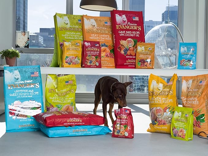 Evanger's Super Gamebird Recipe with Coconut Oil Dry Dog Food – 4.4 lb Bag – Hypoallergenic Duck & Turkey Formula – Grain-Free, Supports Digestive & Coat Health