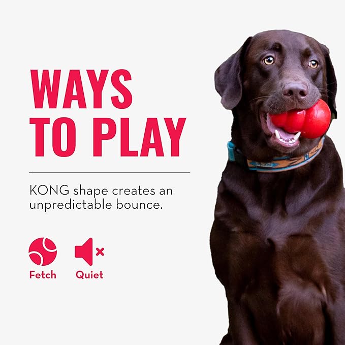 KONG - Bounzer - Medium