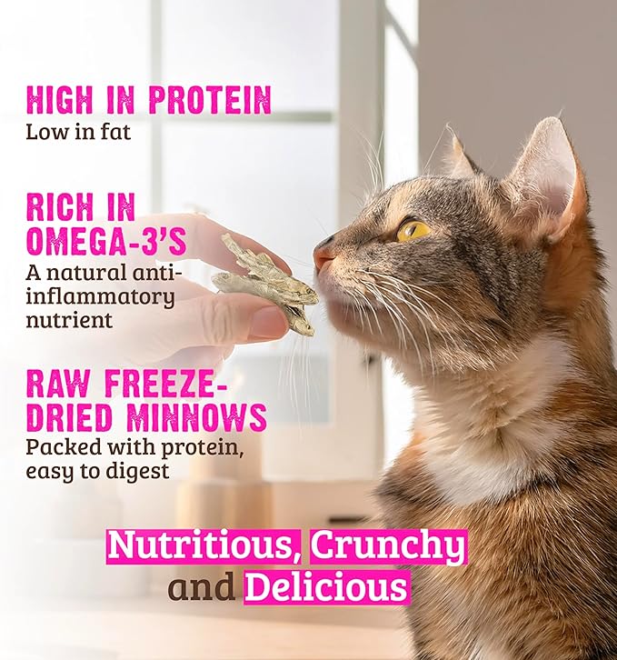 Rawz Raw Freeze Dried Minnows Crunchy Cat Treats - 1 Ounce Bag