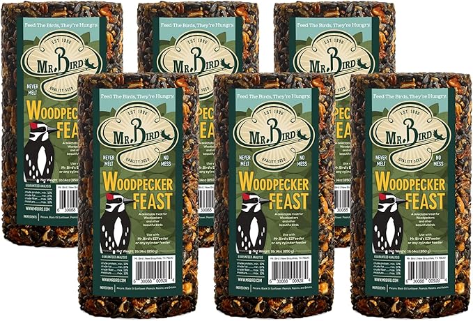 6-Pack Mr. Bird Woodpecker Feast Small Cylinder | Wild Bird Food for Outdoor Birds | Backyard Birdfeeding