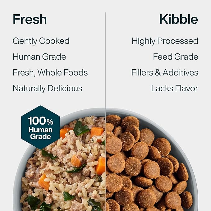 JustFoodForDogs JustFresh Wet Dog Food, Fresh Pet Meals and Toppers with No Preservatives, Resealable Package, Human Grade, Home-Cooked Beef, 12 oz - 7 Pack