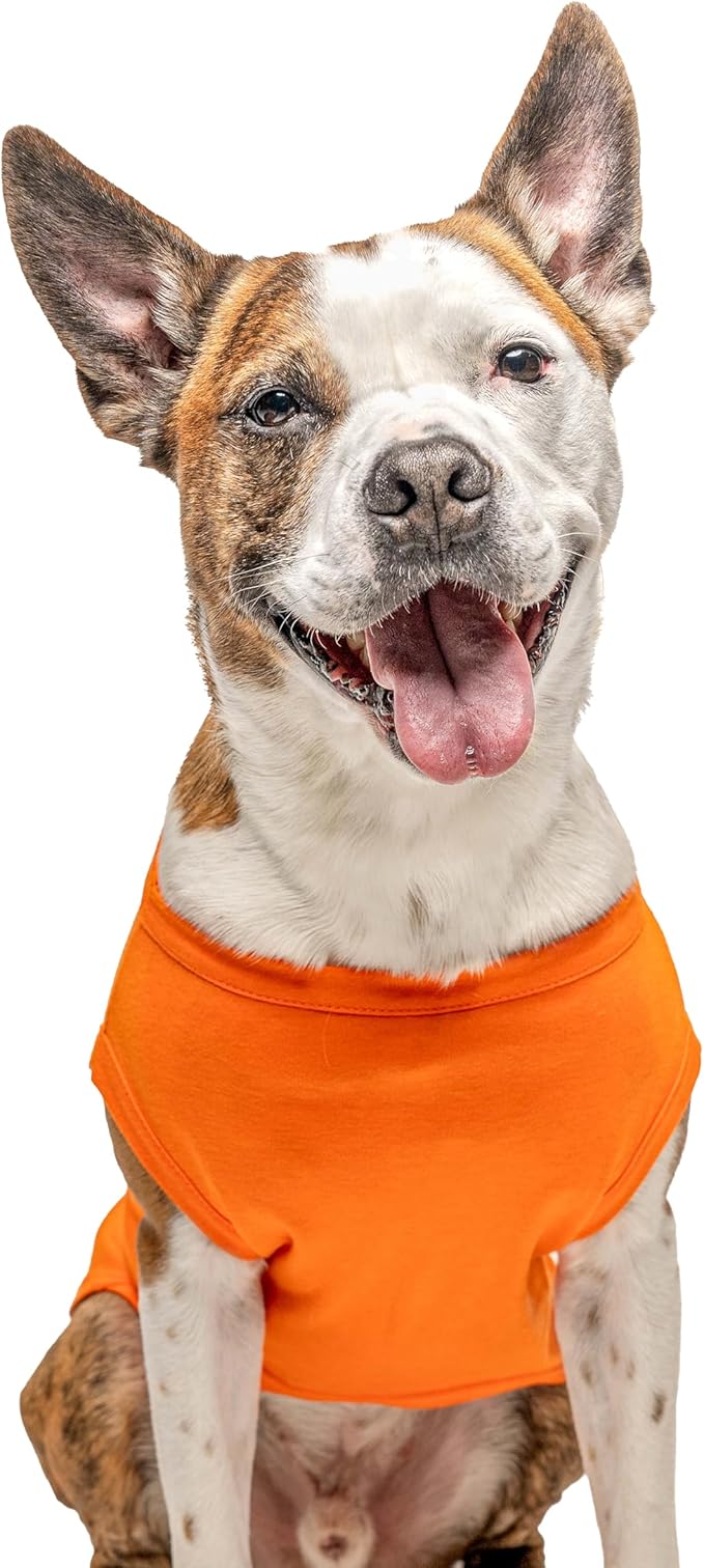 Emotional Support Animal Dog Tee Shirt | Sleeveless Breeds | Service Dog | Working Animal | Assistance |Orange, 3X-Large 209