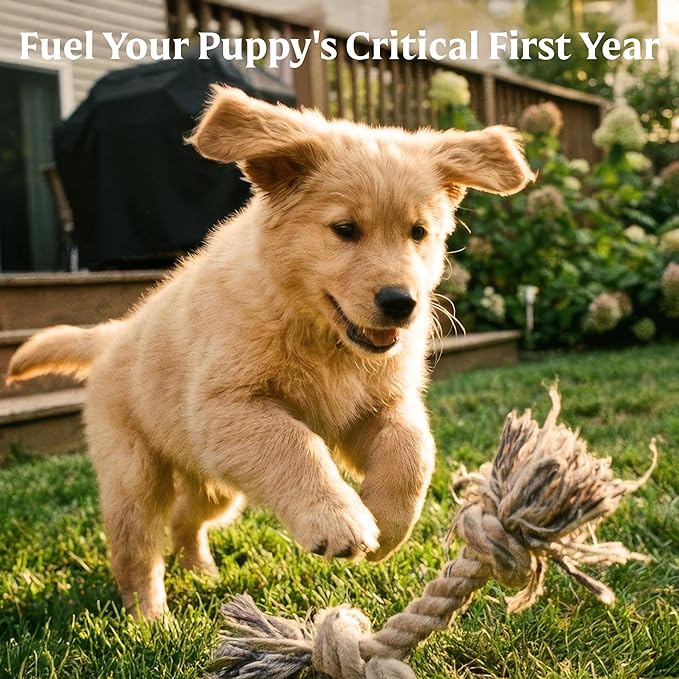 Bil-Jac Puppy Select Dry Dog Food | Fresh Chicken Recipe | 15 lb Bag