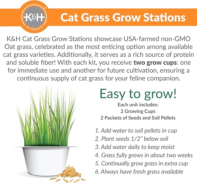 K&H Pet Products EZ Mount Cat Window Perch Deluxe Bolstered Kitty Sill with Cat Grass Grow Station - Hammock Window Bed for Indoor Pets, Home Grown Grass Toy for Bored Indoor Felines