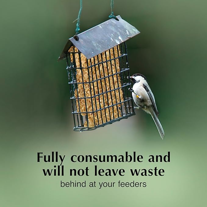 C&S Pecan Delight No Melt Suet Dough, Suet Cakes for Wild Birds Including Nuthatches, Woodpeckers, Chickadees and More, 11.75 Ounces, Pack of 8