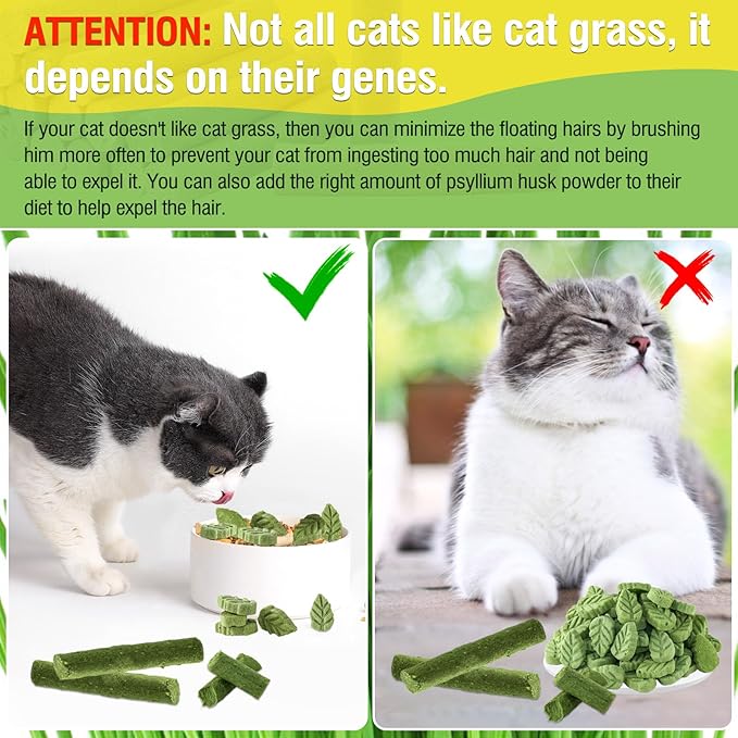 100g/3.52oz Cat Grass Treats, Cat Grass Teething Stick for Hairball Remove and Teeth Cleaning, Edible Cats-Grass Stick Snack