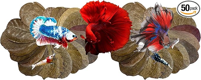 Awesome Aquatic Betta & Shrimp Leaves 50 4"-6" Premium Catappa Indian Almond Leaves Natural Habitat Tannin Producing Improves Immunity, Easy to USE