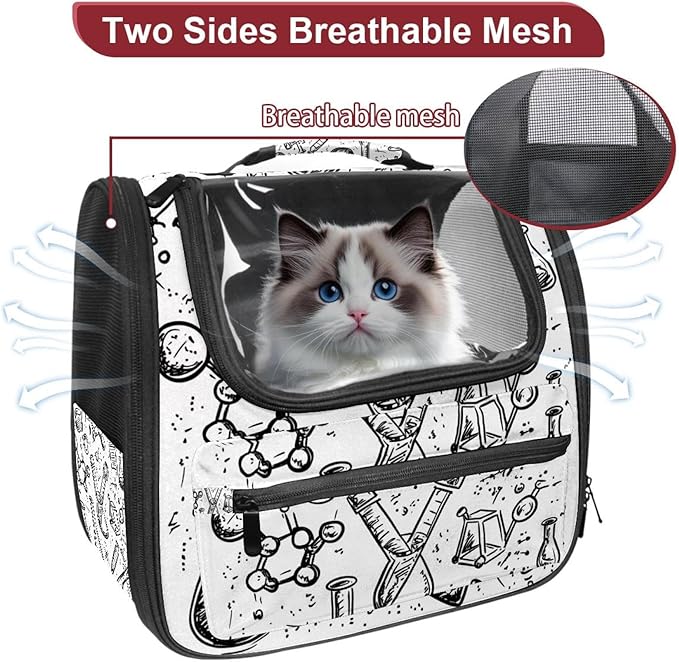 Chemistry Science Doodle (3) Pet Travel Carrier Soft Sided Portable Bag for Cats, Small Dogs, Kittens or Puppies