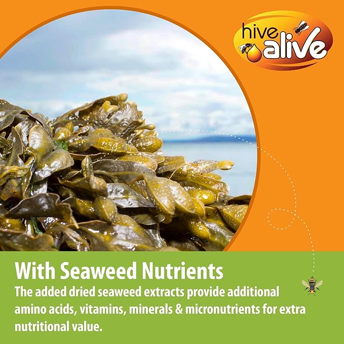 HIVE ALIVE Pollen Patty for Honey Bees – 10lb (10x1lb) Pollen Patties and Bee Food for Spring with 15% Real USA Pollen, Seaweed and Amino Acids to Support Brood and Colony Health