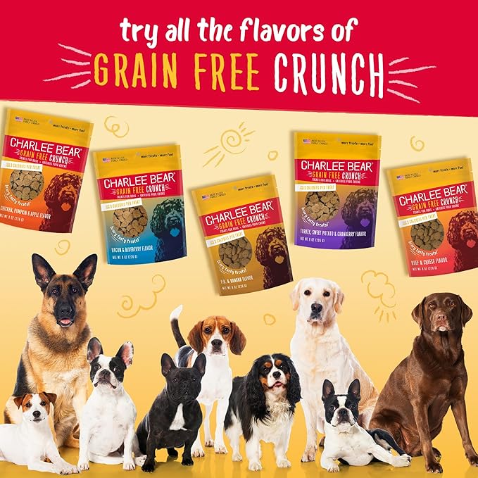 Charlee Bear Crunchy Dog Training Treats, Low Calorie (3 Kcal), Grain Free Natural Mini Treats for Puppies, Small, Medium & Large Dogs, USA Made, Healthy Chicken, Pumpkin & Apple Flavor 8oz (2-Pack)