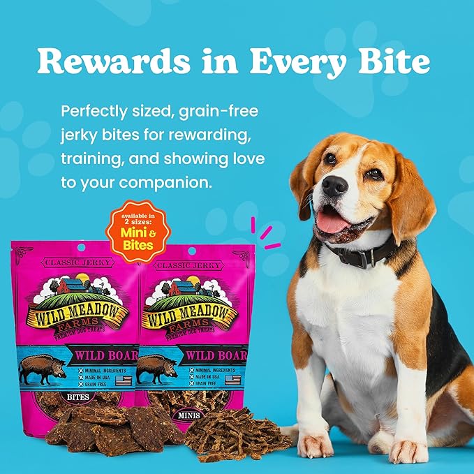Classic Wild Boar Bites, Soft Jerky Treats for Dogs, Grain-Free & All-Natural, Ideal for Training, Portioning, and High-Value Rewards for All Breeds & Ages - 3.5 Ounce Pouch