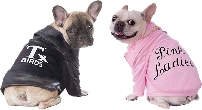 Grease: T-Birds Pet Costume for For Dogs or Cats by Rubies, XL