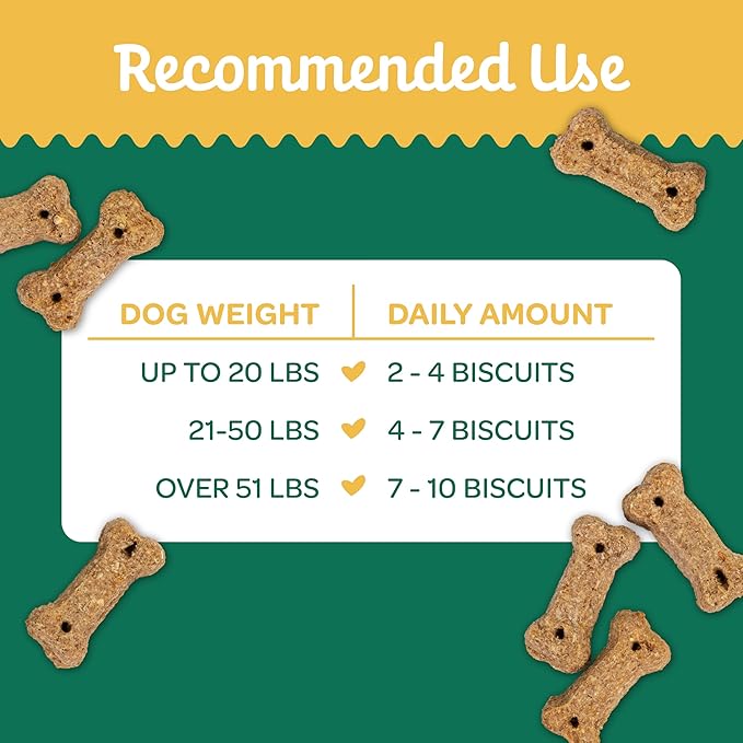 Wholesome Pride Nature's Biscuits Mini Dog Treats, Pumpkin