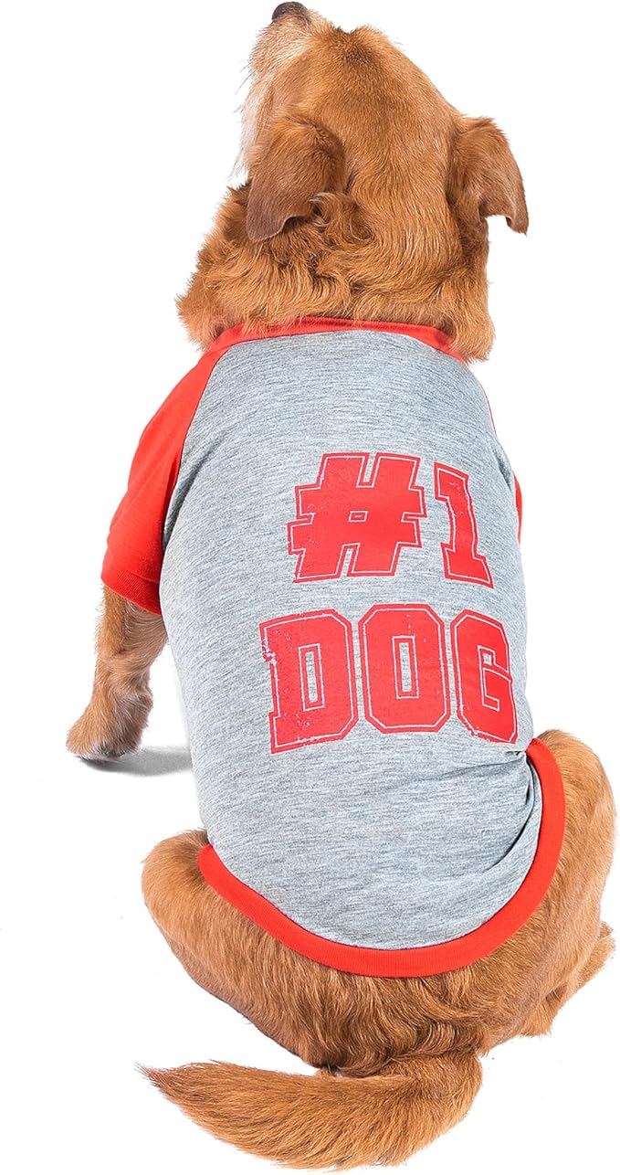The Dodo #1 Dog T-Shirt for Dogs, Size Medium; Black Dodo Print, Everyday Apparel for Dogs, Cute Dog Tee, Cute Clothes for Dogs, The Dodo for Dogs Collection