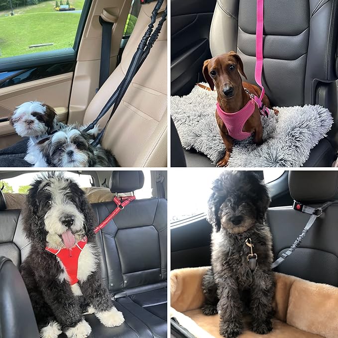 BWOGUE Pet Dog Cat Seat Belts, Car Headrest Restraint Adjustable Safety Leads Vehicle Seatbelt Harness (1 Pack, Yellow, Elastic)