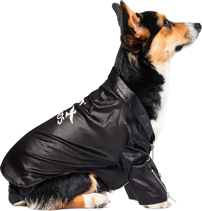 Grease: T-Birds Pet Costume for For Dogs or Cats by Rubies, Large