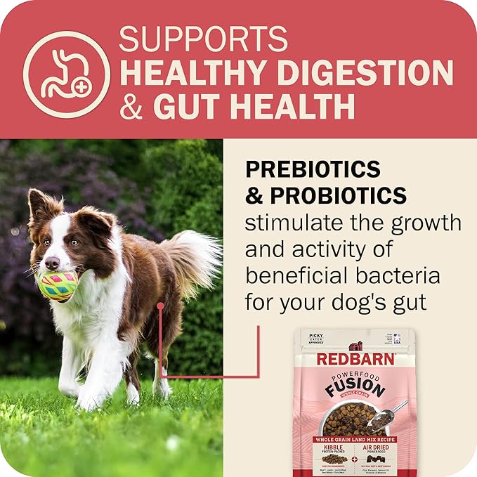 Redbarn Powerfood Fusion Air Dried Kibble Blend – Whole Grain Land Beef Lamb Recipe – Made in USA Adult Dry Dog Food with Superfoods, Prebiotics, Postbiotics - 20lb Bag