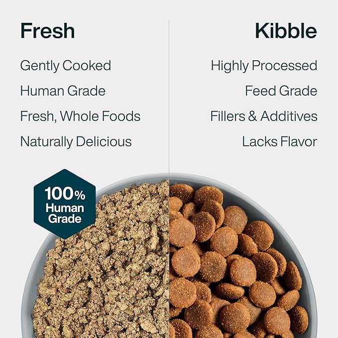 Just Food For Dogs Vet RX Frozen Fresh Prescription Dog Food, Human Grade, Vet Recommended Fresh Pet Meal or Toppers, Limited Ingredient, Prescription Diet, Critical Care Support 18 oz - 7 Pack