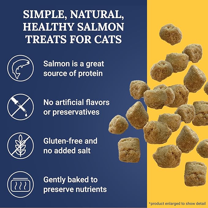 Ernie Els All Natural Salmon Cat Treats - Premium Soft Cat Treats for Healthy Snacking, Training and Rewards - 3 Ounce (Pack of 2)