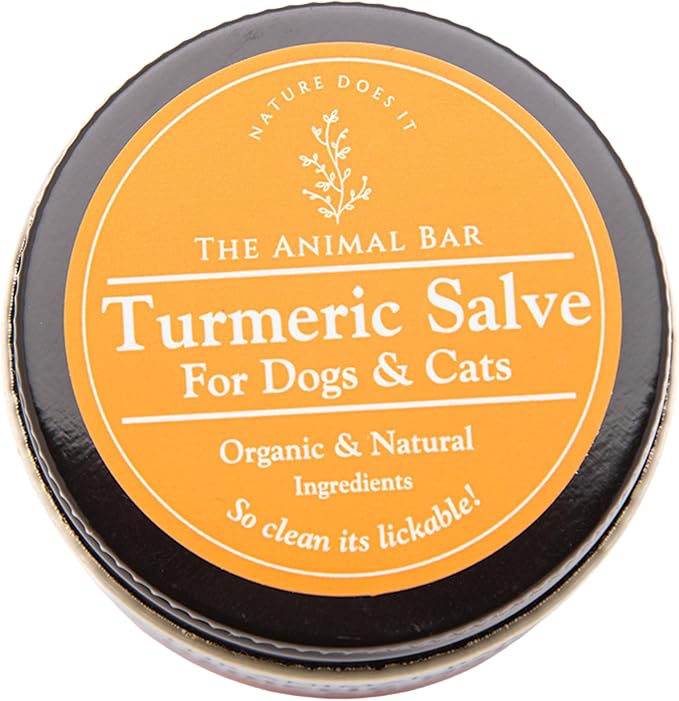 Turmeric Salve for Dogs & Cats – Organic Turmeric & Calendula | Lick-Safe First Aid & Healing for Red Skin, Minor Wounds, Inflammation, Hot Spots & Itchy Skin | Vet Formulated | 2oz