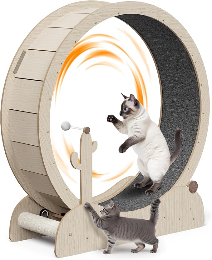 JungleA Large Cat Exercise Wheel 42.72 Inch - Spacious Cat Wheel with Detachable Teaser and Scratching Post for Indoor Cats, Featuring Safety Lock & Low Noise Design for Most Cats