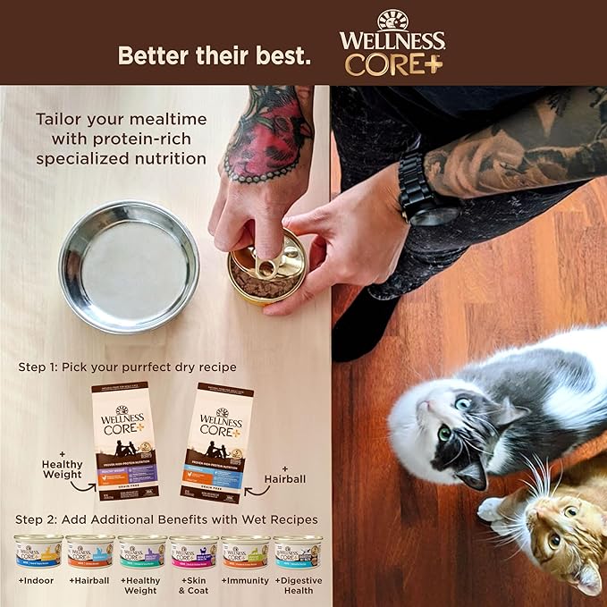 Wellness CORE+ Hairball Adult Dry Cat Food, Natural, Grain Free Kibble, Chicken Recipe, 4.75 lb Bag