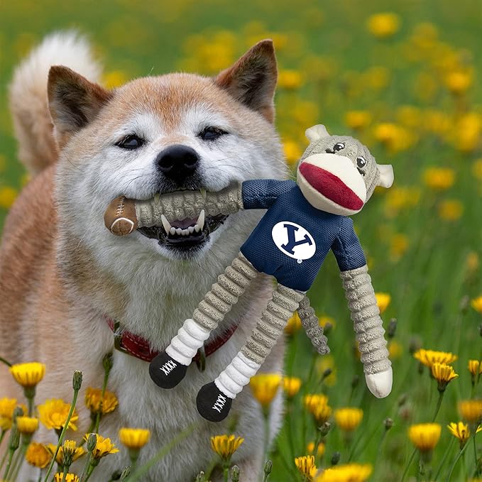 Littlearth NCAA Unisex NCAA Sock Monkey and Flying Disc Pet Toy Combo Set