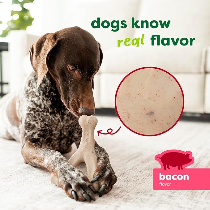 Benebone Green Plant-Based Real Bacon Wishbone Dog Chew Toy for Medium Dogs, Dog Bones for Moderate Chewers, Made in USA