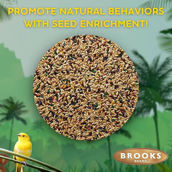 Brooks Brand Grains Plus Canary Blend, Canary Bird Food Seed, Seeds for Birds, Comida para Canarios, Alpiste para Pajaros (4 lbs)