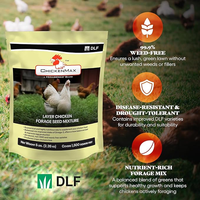 DLF Chicken Max – Forage Seed Mixture for Chickens, Poultry, and Farms – Layer Mix with Clover, Ryegrass, Buckwheat, and Flax – High-Protein Feed for Laying Hens, Chicks, and Coops – 5LB Bag