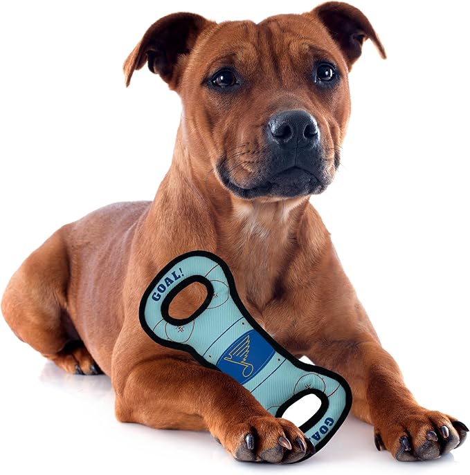 Pets First NHL St. Louis Blues Ice Hockey Rink PET Toy with Inner Squeaker. A Tough Toy for Dogs & Cats with Exciting Hockey Graphics, Gorgeous Team Logo & Double Stitch Trims